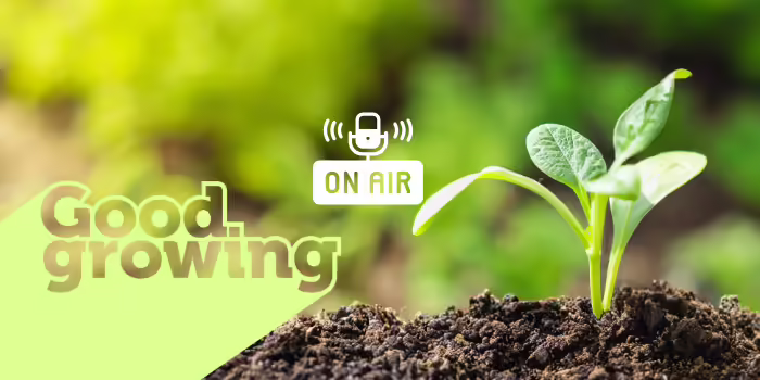 A seedling growing in the soil with a podcast icon overlayed in the middle.