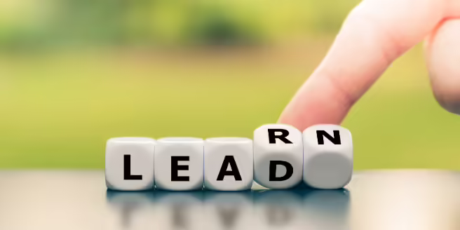 Letter dice that spell lead