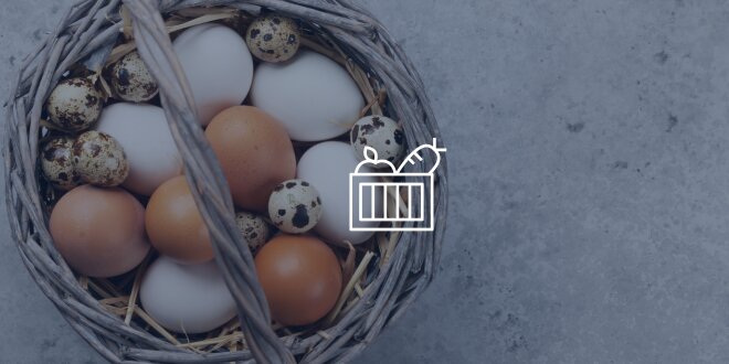A basket of colorful eggs.