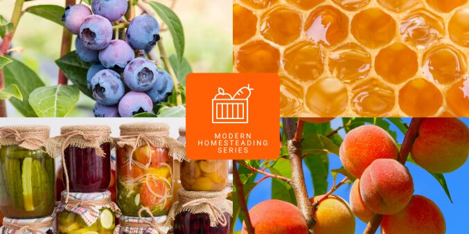 Images of grapes growing, peaches growing, honey comb, and canned goods with "modern homesteading" and a graphic of a basket of produce