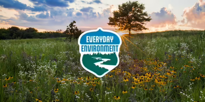 A prairie in full bloom at sunset. The Everyday Environment logo in in the middle.