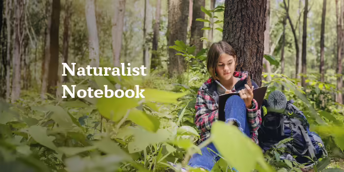 A young woman sitting against a tree drawing in a journal.