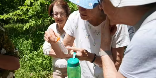 volunteers looking at an insect in a tube 
