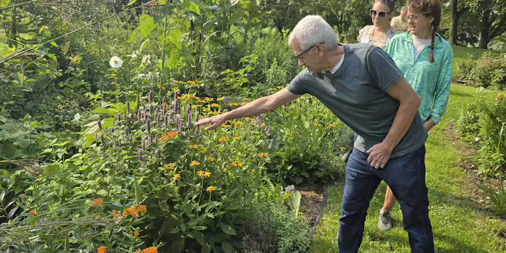 Several people looking at plants