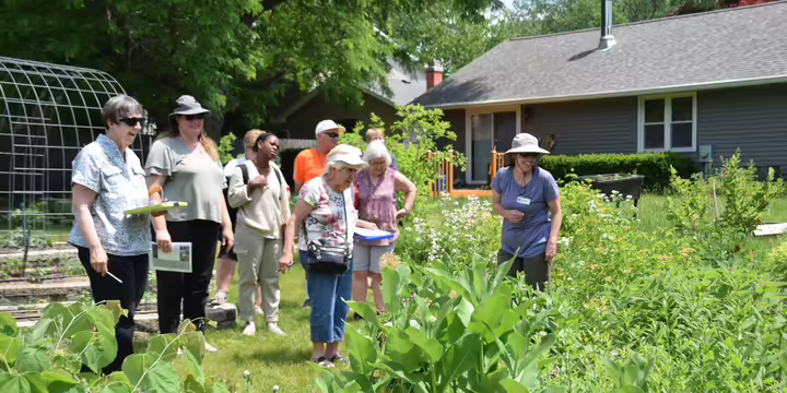 group of people looking at plants in someone's back yard