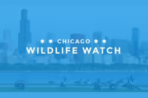 White words blue background with skypscrapers