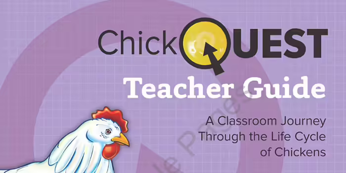 screenshot of Chick Quest book