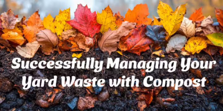 Leaves with compost