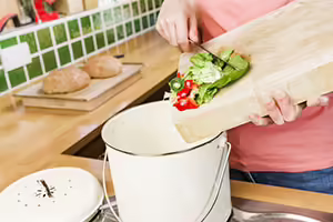 Composting food scraps