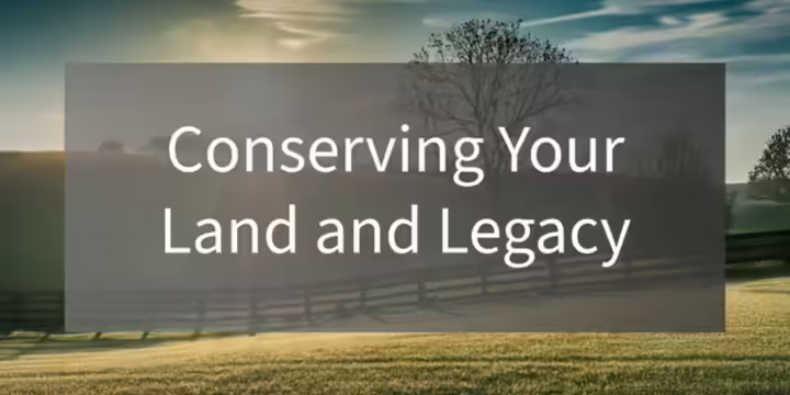 pasture with fence and tree
