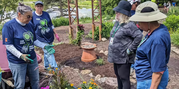 women gardening annuals