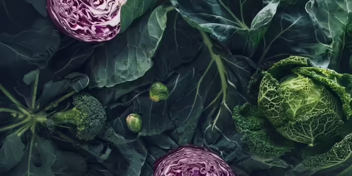 Kale, Cabbage, Broccoli and Brussel Sprouts 