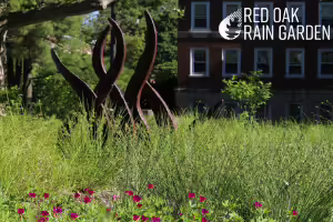 photo of Red Oak Rain Garden 