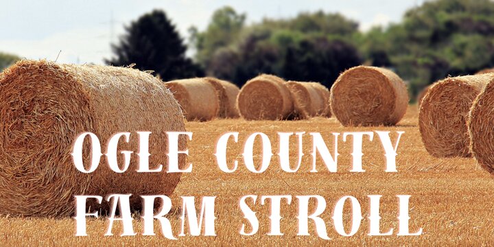 Ogle County Farm Stroll text with golden rolled hay bales