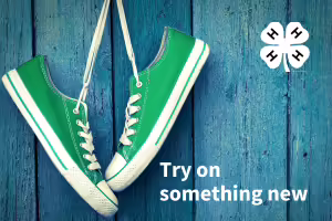 green shoes with blue background