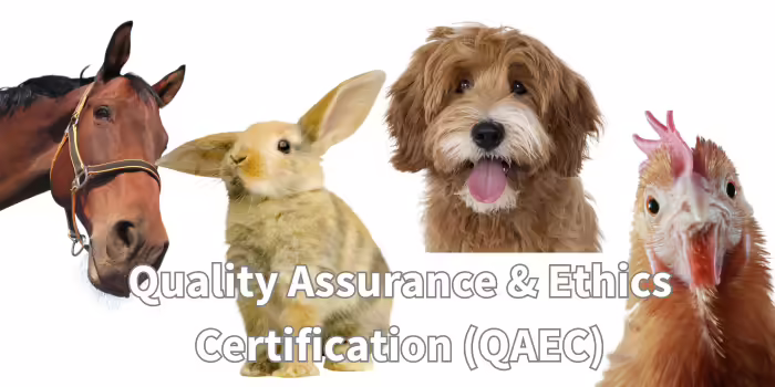 horse, rabbit, dog and chicken