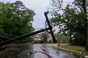 transformer on a electric poles and a tree laying across power lines over a road after Hurricane