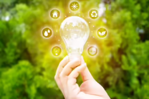 light bulb being held in-between fingers in front of a green evergreen