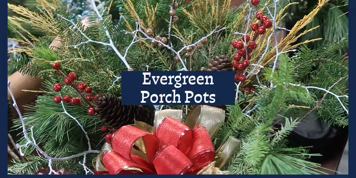 Porch pot made with pine boughs, sticks, berries and a bow.