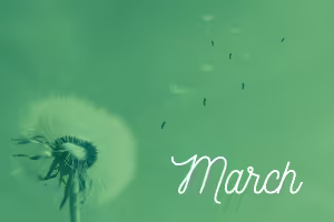 a dandelion blowing in the wind 