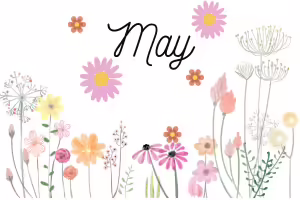 hand drawn flowers of all colors and shapes