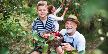 A child and an older man collect apples together.