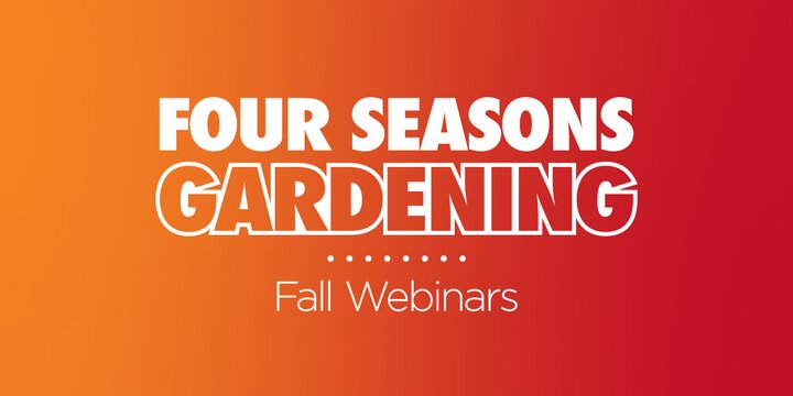 An orange background with overlay text that reads four seasons gardening.