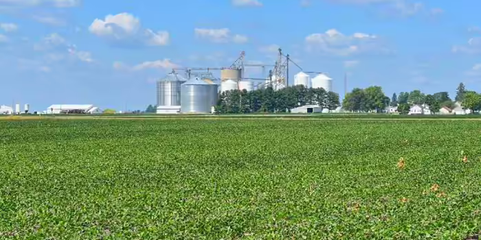 farm buildings in a field