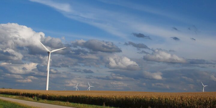 windmills in a corn field