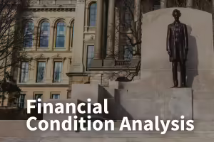Financial Condition Analysis