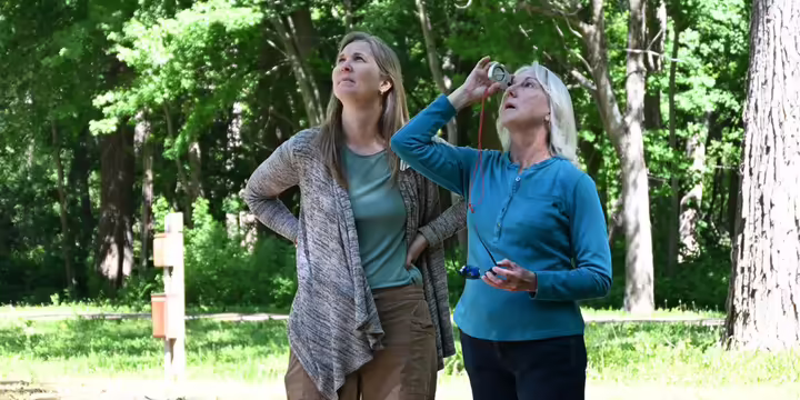 ladies looking up