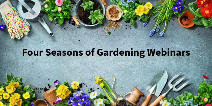 spring flowers and garden tools