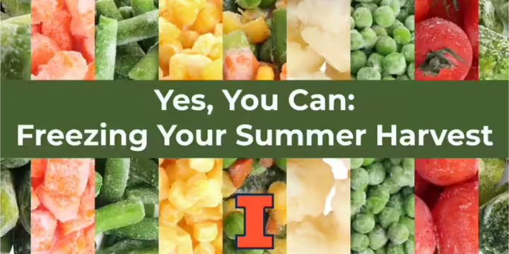 different kinds of frozen vegetables