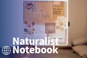 hand holding a journal with writing and pictures