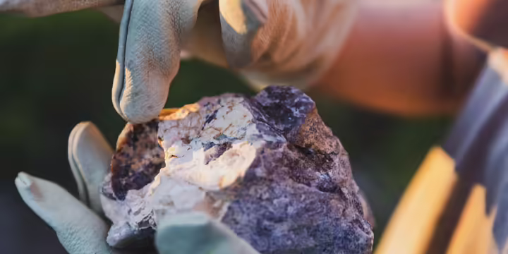 Close-up of gloved hands holding a large purple and white rock specimen outdoors in warm sunlight.