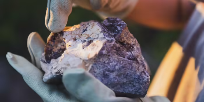 Close-up of gloved hands holding a large purple and white rock specimen outdoors in warm sunlight.