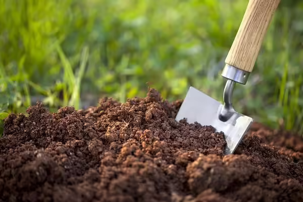 A trowel in soil