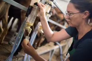 person taking sample of milk