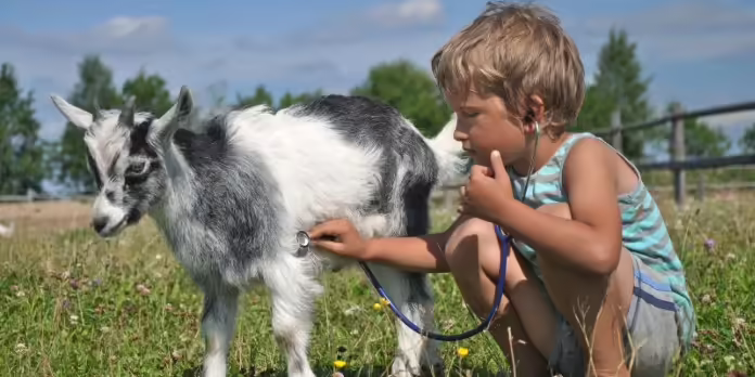 A boy with a goat 