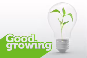 light bulb with a plant inside of it. text good growing
