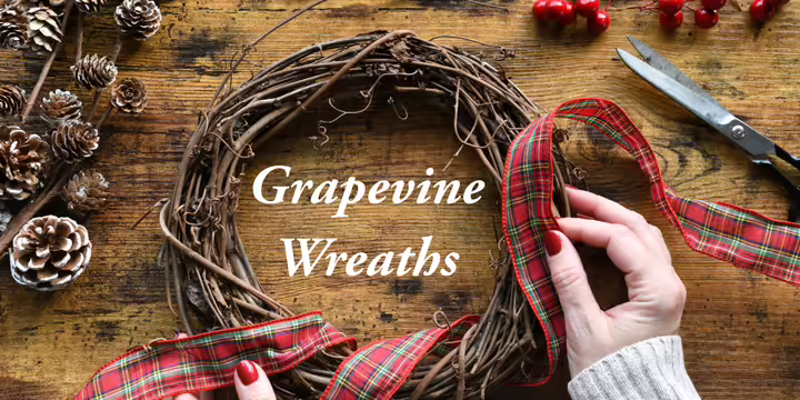 grapevine wreath with pine cones, lemon slices, berries and ribbon