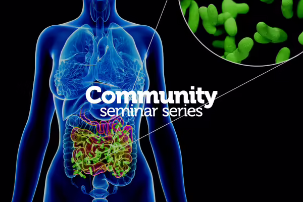 body highlighting gut