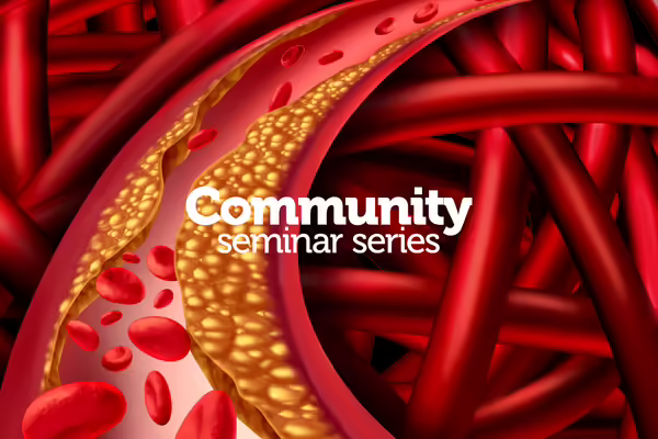 graphic representation of arteries