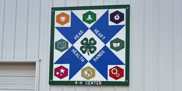 A 4-H themed barn painting with "head, heart, hands, health" in design, on metal sided building