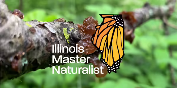 Illinois Master Naturalist logo