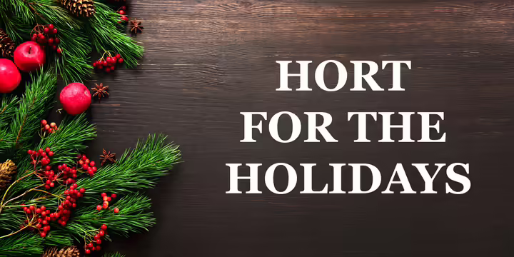 holiday garland scattered on a wood background