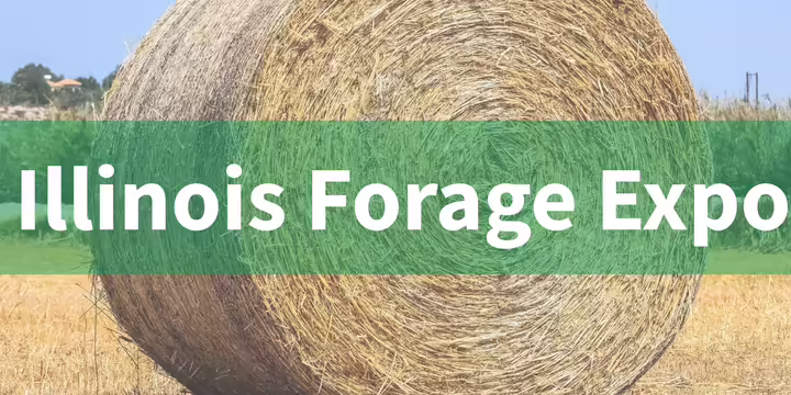 round bale in field