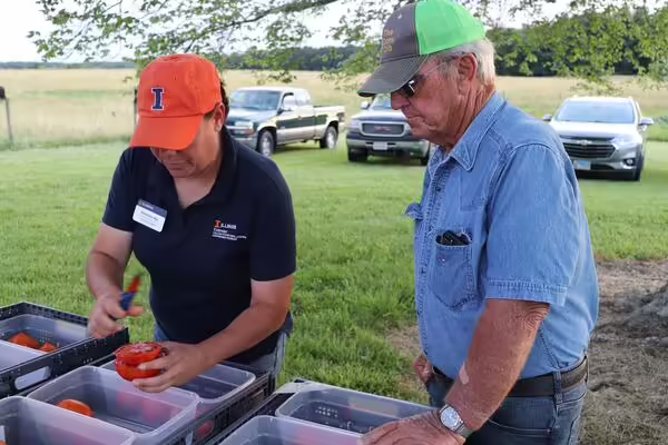 two people looking at a sliced tomato