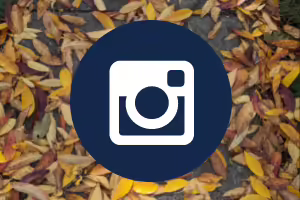 instagram photo with leaves