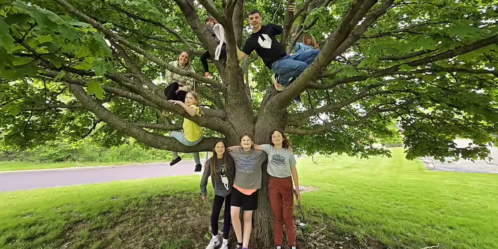 Several youth standing in front of and climbing a tree